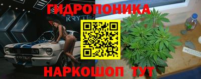 jwh Новодвинск